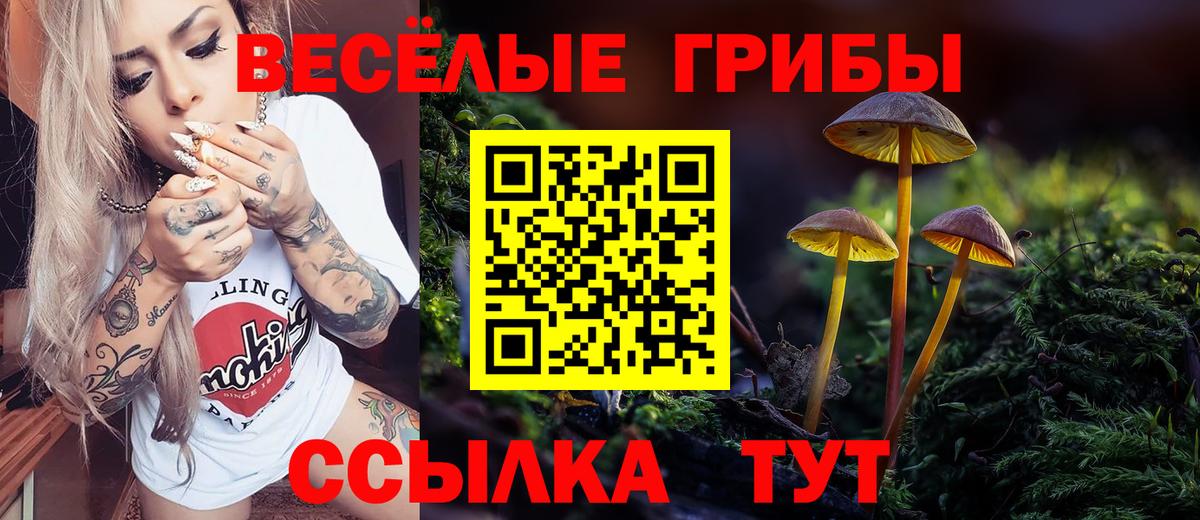 Златоуст  Псилоцибиновые грибы мухоморы  Вход с VPN  Галлюциногенные грибы Cubensis 