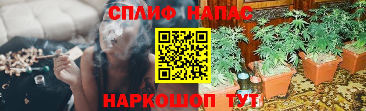 Бошки марихуана семена  Шишки марихуана OG Kush  Вход с VPN  Каннабис тримм  Златоуст 